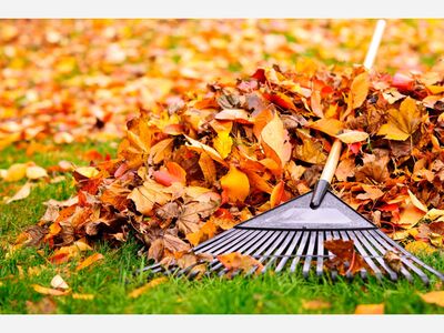 Kettering Leaf Collection Program winding down