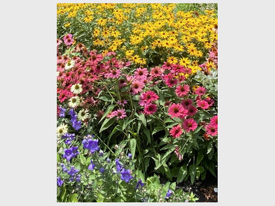 Garden Club of Dayton Garden Tour
